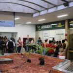 Animais de rua são microchipados e disponibilizados para adoção em Aparecida de Goiânia